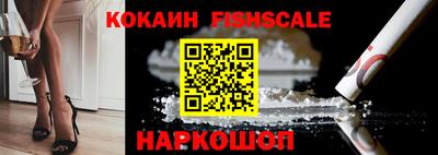 крисы Камышлов