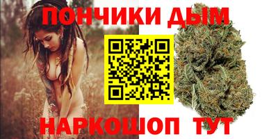 крисы Камышлов