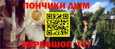 крисы Камышлов