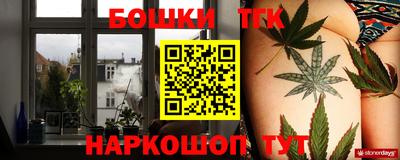 крисы Камышлов