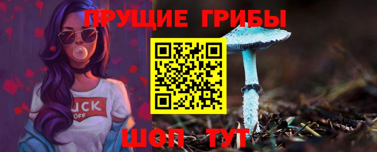 продажа наркотиков  Вход с VPN  Красноярск  Псилоцибиновые грибы ЛСД 